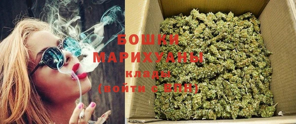 ГАЛЛЮЦИНОГЕННЫЕ ГРИБЫ Бородино