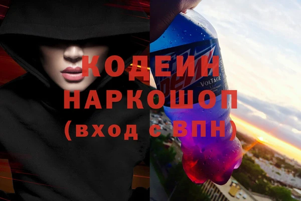 ГАЛЛЮЦИНОГЕННЫЕ ГРИБЫ Бородино