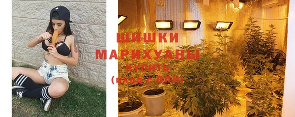 ГАЛЛЮЦИНОГЕННЫЕ ГРИБЫ Бородино