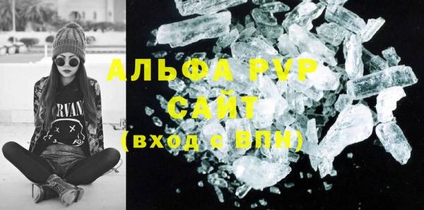 ГАЛЛЮЦИНОГЕННЫЕ ГРИБЫ Бородино
