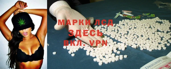 ГАЛЛЮЦИНОГЕННЫЕ ГРИБЫ Бородино