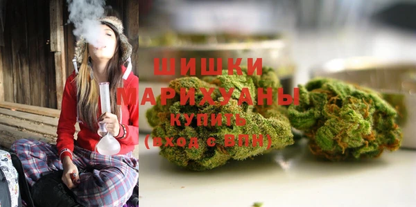 ГАЛЛЮЦИНОГЕННЫЕ ГРИБЫ Бородино