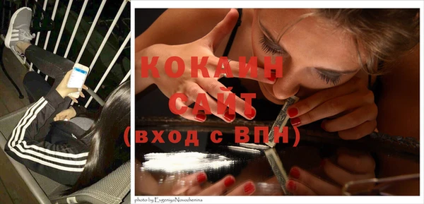 ГАЛЛЮЦИНОГЕННЫЕ ГРИБЫ Бородино