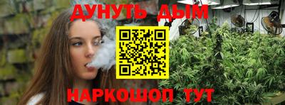 спиды Бийск