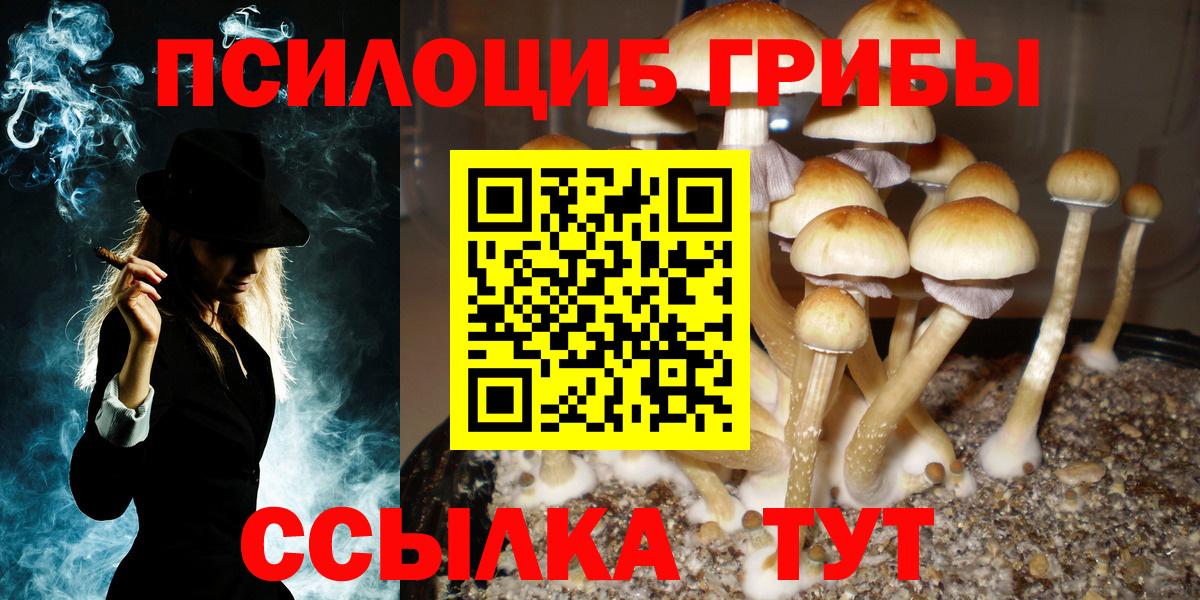 Псилоцибиновые грибы мухоморы  Галлюциногенные грибы Cubensis  Горно-Алтайск  Вход с VPN 