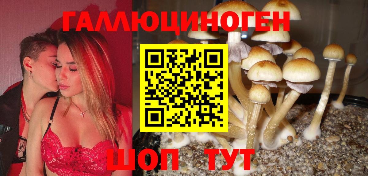 Псилоцибиновые грибы Magic Shrooms  Горно-Алтайск 