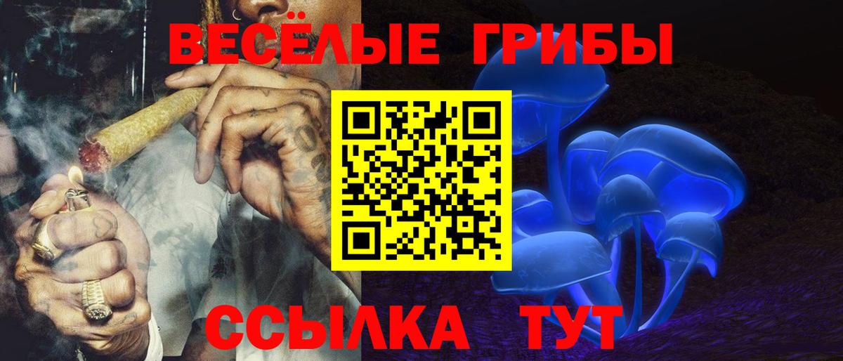 Галлюциногенные грибы мухоморы Горно-Алтайск