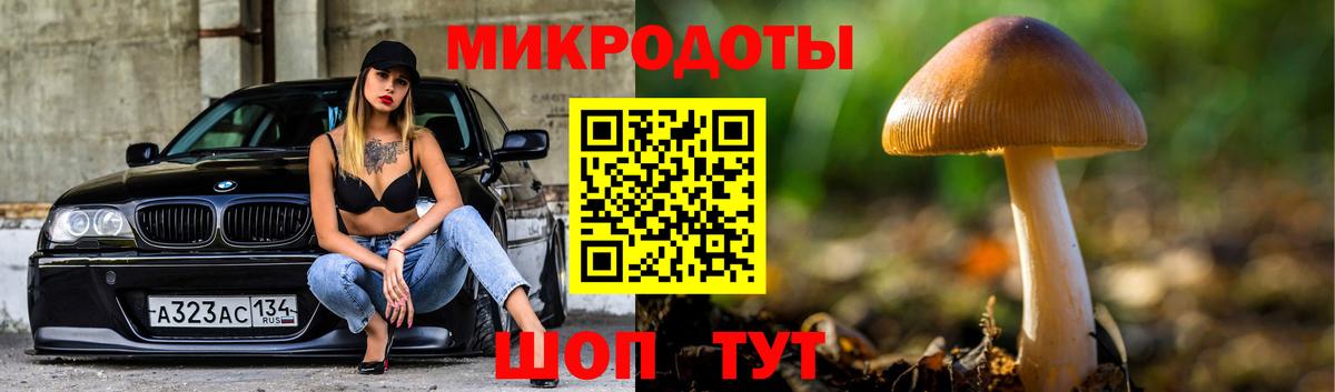 Псилоцибиновые грибы Magic Shrooms Горно-Алтайск